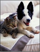 Article Thumbnail Small